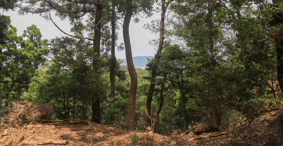 伊勢志摩国立公園 絶景ハイキング一覧 伊勢志摩国立公園 絶景ハイキング